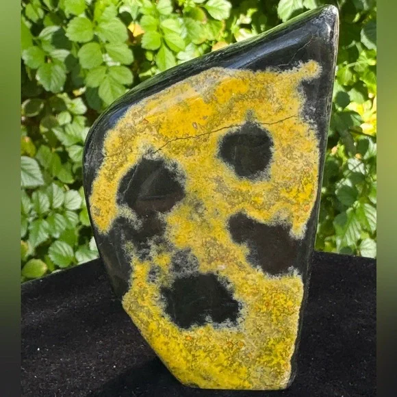 Bumblebee Jasper 7.4oz. (Indonesia) - Picture 2 of 4